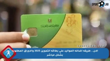 الآن.. طريقة إضافة المواليد على بطاقة التموين 2025 والأوراق المطلوبة بشكل مباشر